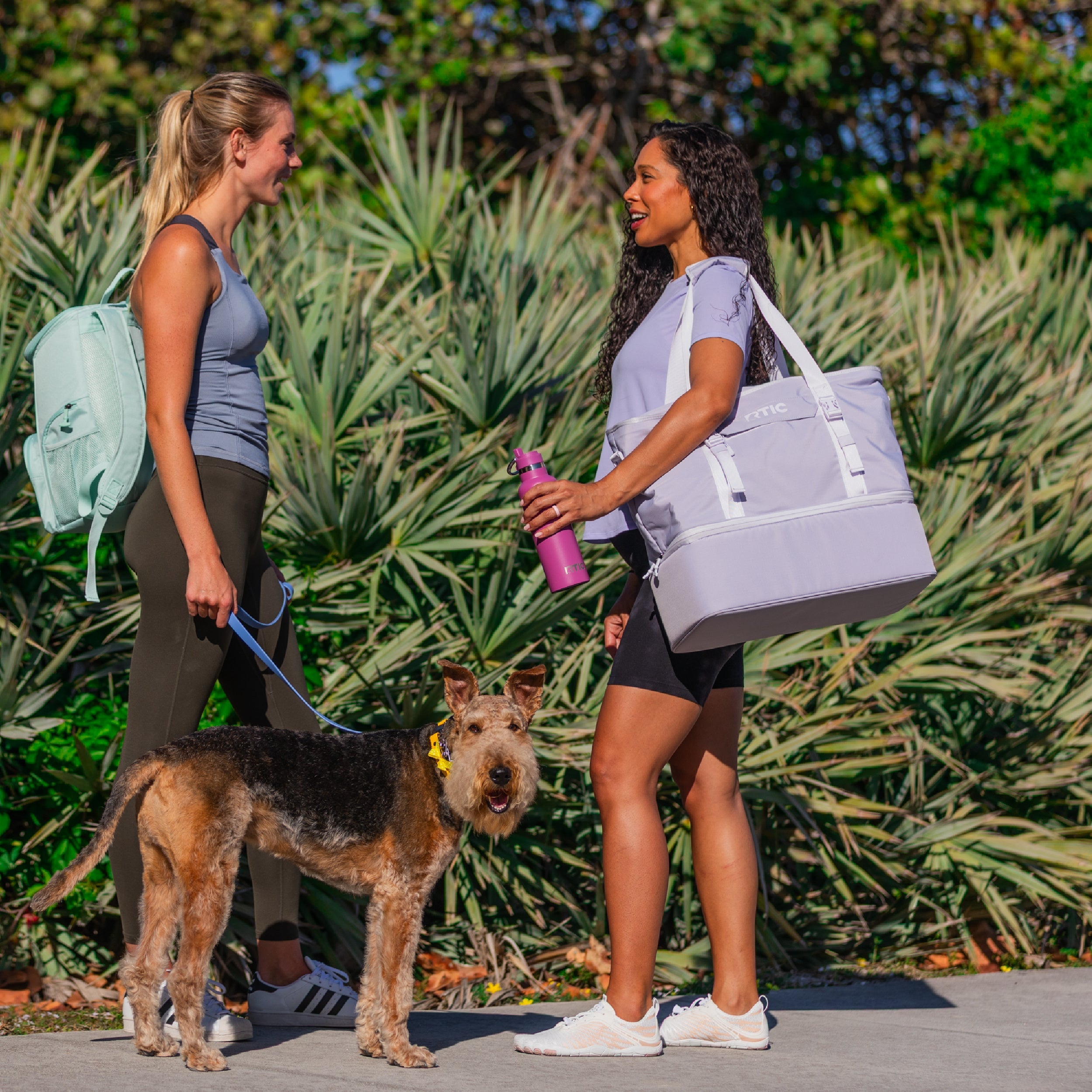 2-in-1 Chillout Bag